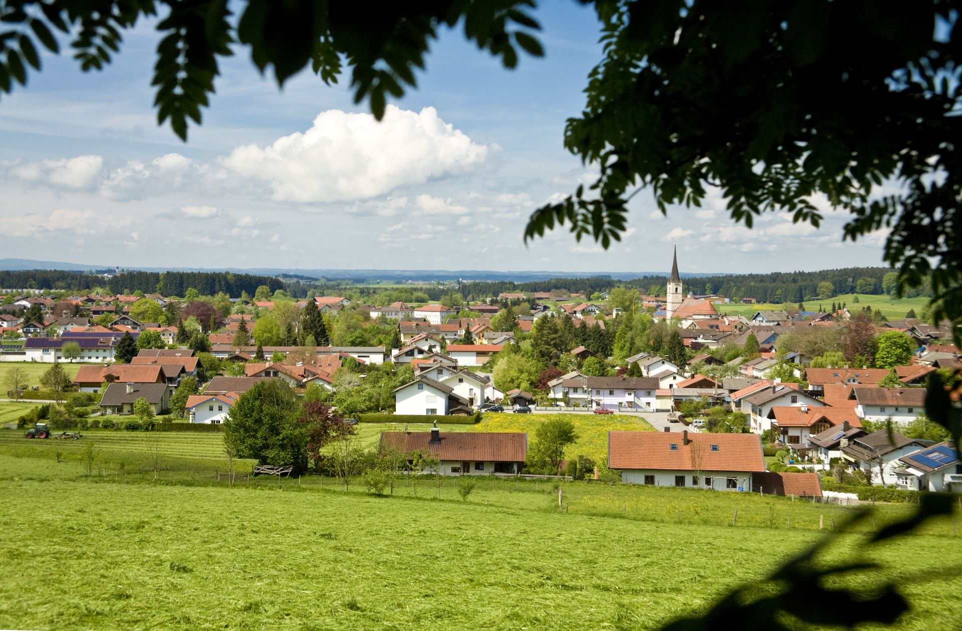 Bild: Blick auf Halfing