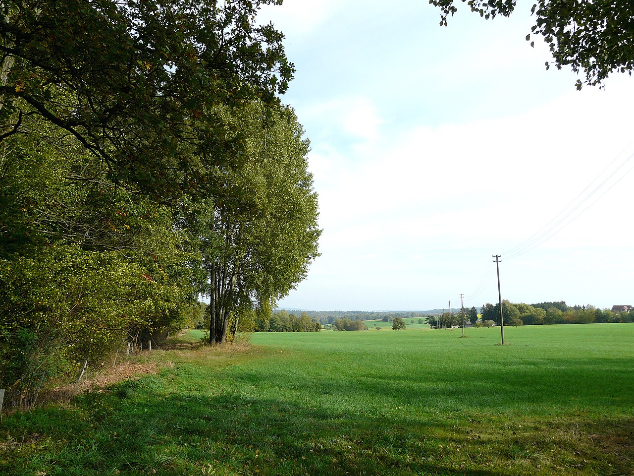 Limeswanderweg zwischen den Turmstellen Wp 10/14 und Wp 10/15 am Odenwaldlimes