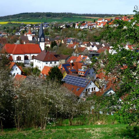 Das Wachbachtal im Frühling